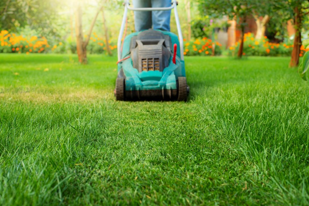 man pushing lawn mower lawn care background plac 2021 12 09 09 36 42 utc