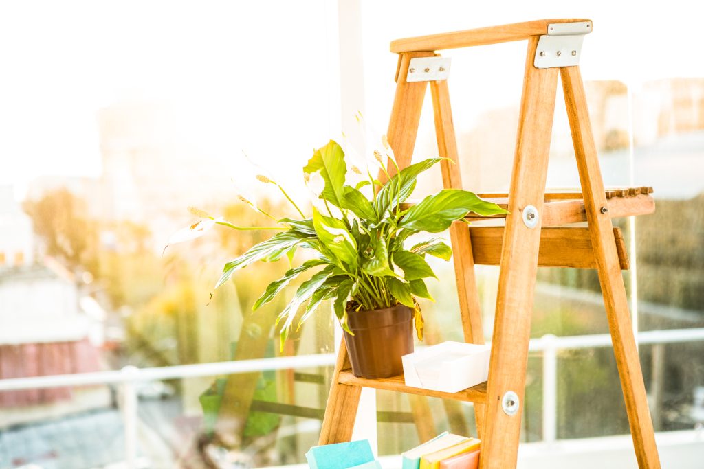 ladder used as shelf in office by large window 2021 08 28 16 41 29 utc