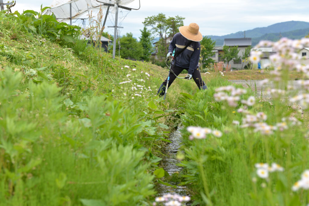 水路の側を草刈機で除草する男性